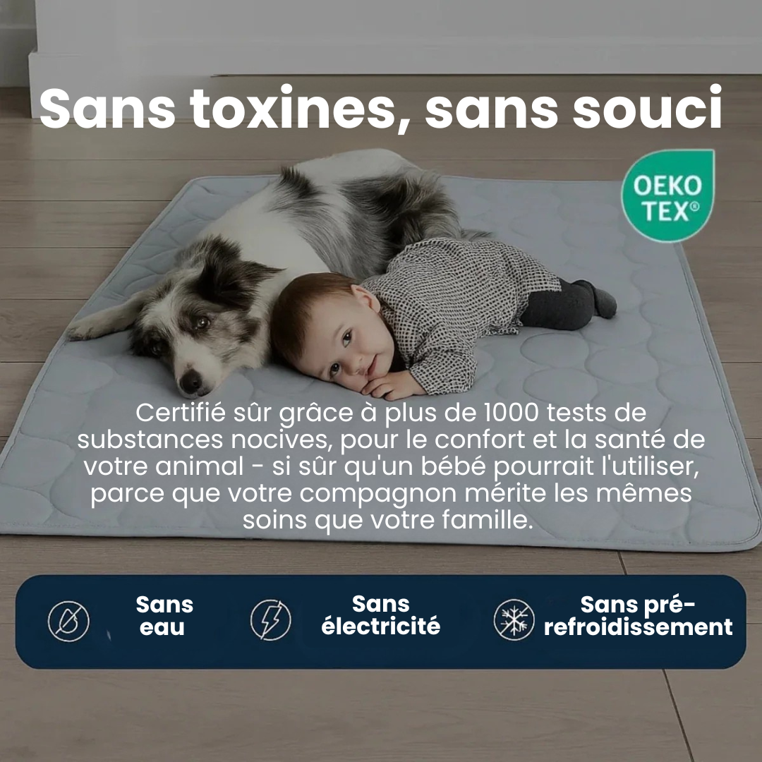 Tapis Rafraîchissant pour Chien ChillsDog™