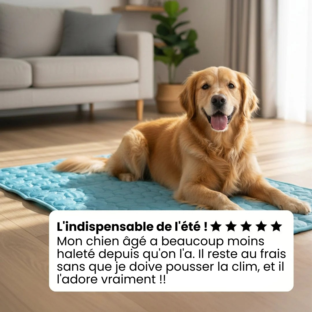 Tapis Rafraîchissant pour Chien ChillsDog™