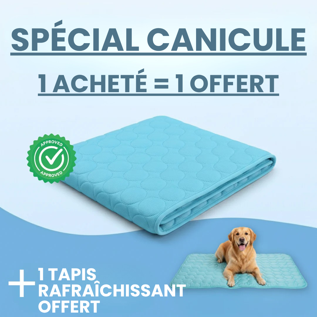 Tapis Rafraîchissant pour Chien ChillsDog™